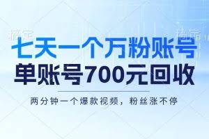 (13062期)七天一个万粉账号,新手小白秒上手,单账号回收700元,轻松月入三万+