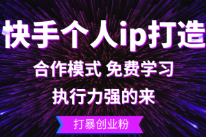 (13023期)快手个人ip打造:执行力强的来 打暴创业粉