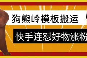 狗熊岭快手连怼技术，好物，涨粉都可以连怼