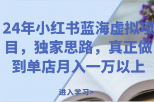 24年小红书蓝海虚拟项目，独家思路，真正做到单店月入一万以上。