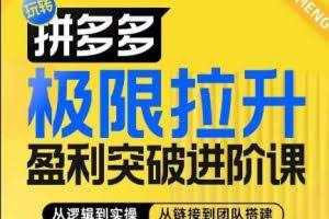 拼多多极限拉升盈利突破进阶课，​从算法到玩法，从玩法到团队搭建，体系化系统性帮助商家实现利润提升