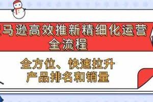 亚马逊高效推新精细化运营全流程，全方位、快速 拉升产品排名和销量