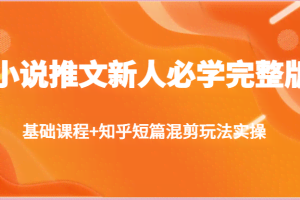 小说推文新人必学完整版，基础课程+知乎短篇混剪玩法实操