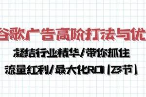 谷歌广告高阶打法与优化，凝结行业精华/带你抓住流量红利/最大化ROI(23节)