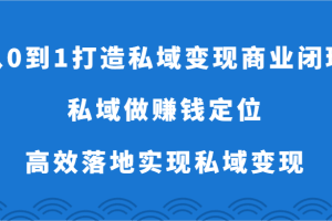 从0到1打造私域变现商业闭环-私域做赚钱定位，高效落地实现私域变现