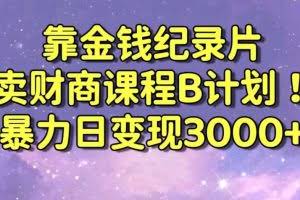 财经纪录片联合财商课程的变现策略，暴力日变现3000+，喂饭级别教学【揭秘】