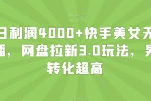 单日利润4000+快手美女无人挂播，网盘拉新3.0玩法，男粉转化超高【揭秘】