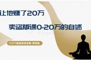 十万个富翁修炼宝典之9.让他赚了20万，卖盗版课0-20万的自述