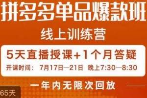 钟辰·拼多多单品爆款班，一个拼多多超级爆款养一个团队