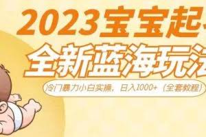 2023宝宝起名全新蓝海玩法，冷门暴力小白实操，日入1000+（全套教程）【揭秘】