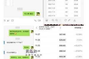 黄岛主《淘宝蓝海虚拟项目陪跑训练营6.0》每天纯利润200到1000+纯实战课