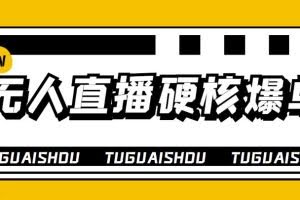 大飞无人直播硬核爆单技术，轻松玩转无人直播，暴利躺赚