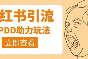 利用小红书卖拼多多助力，日赚100+，顺便还能引个流【视频课程】