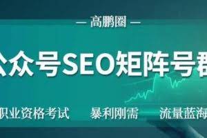 高鹏圈公众号SEO矩阵号群，实操20天纯收益25000+，普通人都能做