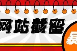 网站截流项目：自动化快速、长久赚钱，实战3天即可躺赚400+每天
