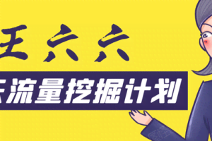 王六六30天流量挖掘计划，从零开始打造一套精准流量挖掘体系