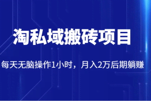 价值2980的淘私域搬砖项目，每天无脑操作1小时，月入2万后期躺赚