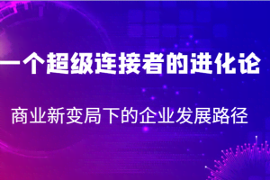 一个超级连接者的进化论 商业新变局下的企业发展路径
