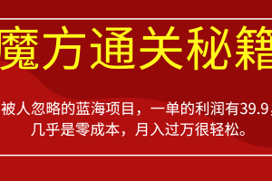 被人忽略的蓝海项目，魔方通关秘籍，一单的利润有39.9，几乎是零成本，月入过万很…