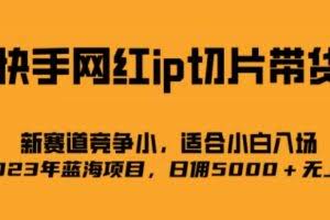 快手网红ip切片新赛道，竞争小，适合小白  2023蓝海项目
