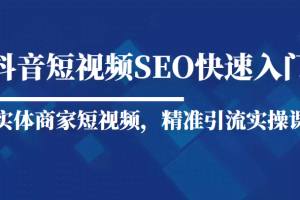 抖音短视频Seo搜索排名优化新手快速入门教程，实体商家短视频，精准引流实操课