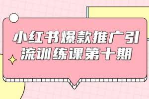 小红书爆款推广引流训练课第十期，手把手带你玩转小红书，轻松月入过万