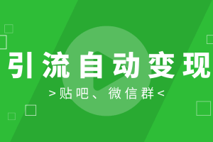 胜子《引流自动变现》特训营：微信群引流1.0和新手贴吧引流1.0【视频课程】
