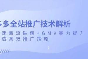（13417期）多多全站推广技术解析：极速断流破解+GMV暴力提升，打造高效推广策略