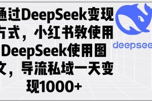 (14179期)通过DeepSeek变现方式,小红书教使用DeepSeek图文,导流私域一天变现1000+