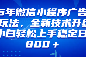 (14161期)微信小程序全自动挂机广告,纯小白易上手,稳定日入1000+,技术全新升级,全网首发