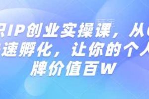 知识IP创业实操课，从0到1快速孵化，让你的个人品牌价值百W