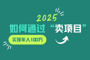 2025年如何通过“卖项目”实现年入100w