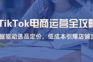 TikTok电商运营全攻略，数据驱动选品定价，低成本引爆店铺流量