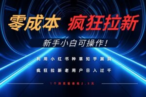利用小红书种草知乎漏洞，零成本疯狂拉新日入数张，新手小白可操作