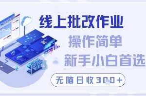 线上批改作业，操作简单新手小白首选，无脑日收300+【揭秘】