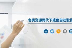 各类资源网代下咸鱼自动发货