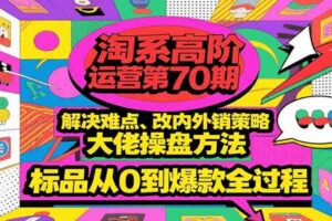 淘系高阶运营第70期，解决难点、改内外销策略，大佬操盘方法，标品从0到爆款全过程