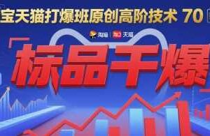 淘宝天猫打爆班原创高阶技术第70期：标品干爆