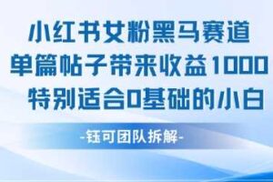 小红书女粉黑马赛道单篇帖子带来收益1k+，特别适合0基础的小白