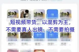 宝子哥头部团队短视频带货，以混剪为主，不需要真人出镜，不需要拍摄【更新8月】