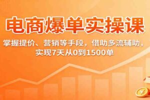 电商爆单实操课：掌握提价、营销等手段，借助多流辅助，实现7天从0到1500单