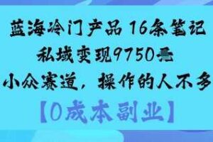 蓝海冷门产品：16条笔记私域变现9750米小众赛道，操作的人不多