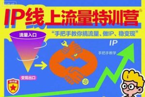 IP线上流量特训营，手把手教你搞流量、做IP、稳变现