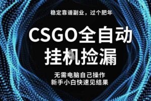 【稳定副业】全球最热门游戏CSGO全自动捡漏，最新玩法，新手小白日入5张+【揭秘】