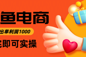 闲鱼高利润电商,当天上架当天出单,一单利润300