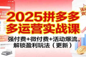 2025拼多多运营实战课:强付费+微付费+活动爆流,解锁盈利玩法(更新)