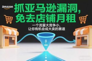 抓亚马逊漏洞,免去店铺月租,一个流量大竞争小,让你有机会成大卖的赛道
