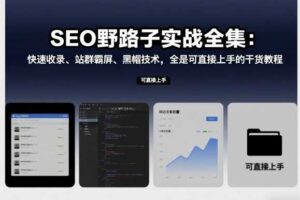 SEO野路子实战全集:快速收录、站群霸屏、黑帽技术,全是可直接上手的干货教程