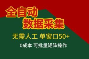 全自动数据采集项目，无需人工，单窗口可达50+收益，操作简单无难度，一个人也能轻松实现矩阵【揭秘】