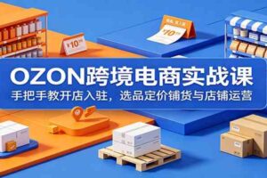 OZON跨境电商实战课:手把手教开店入驻,选品定价铺货与店铺运营